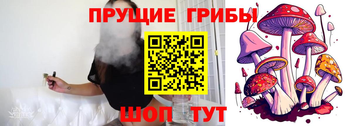 Краснокаменск  Галлюциногенные грибы GOLDEN TEACHER  Вход с VPN 